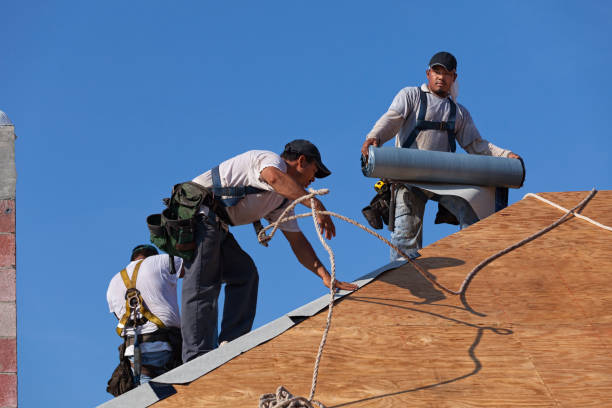 Best Shingle Roofing Installation  in Glendive, MT