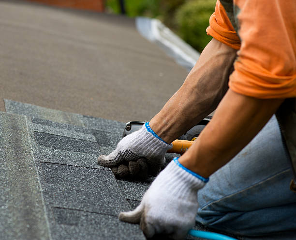Best New Roof Installation  in Glendive, MT